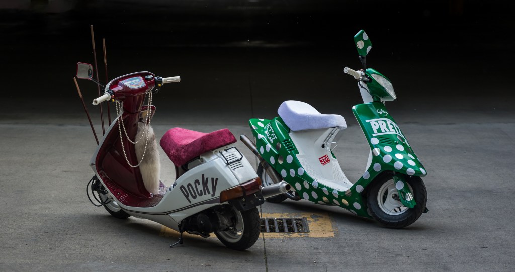 1987 Elite 50 (SE50) to DJ1 Conversion&nbsp;Guide